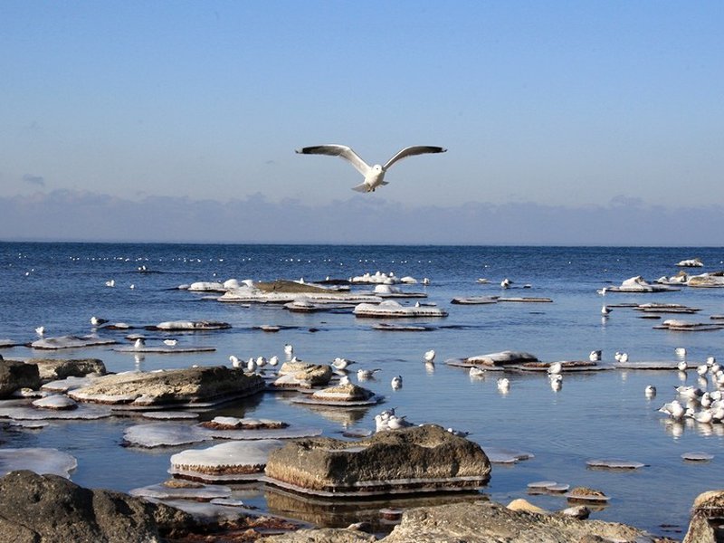 گ.كوبەنوۆا: ىنتىماقتاستىقتى ارتتىراتىن قۇجات بولماق