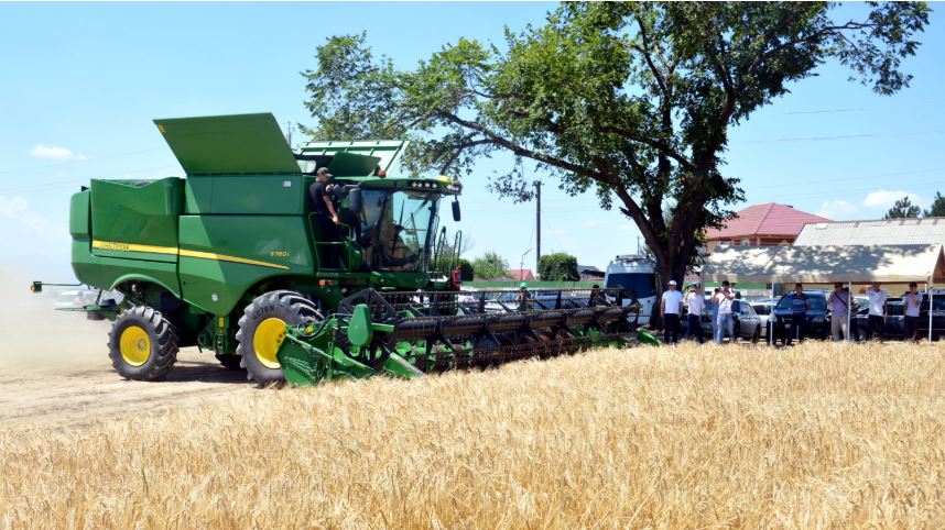 جيىن تەرىم ناۋقانى: قر اشم استىق ءتۇسىمى بويىنشا بولجامىن ايتتى