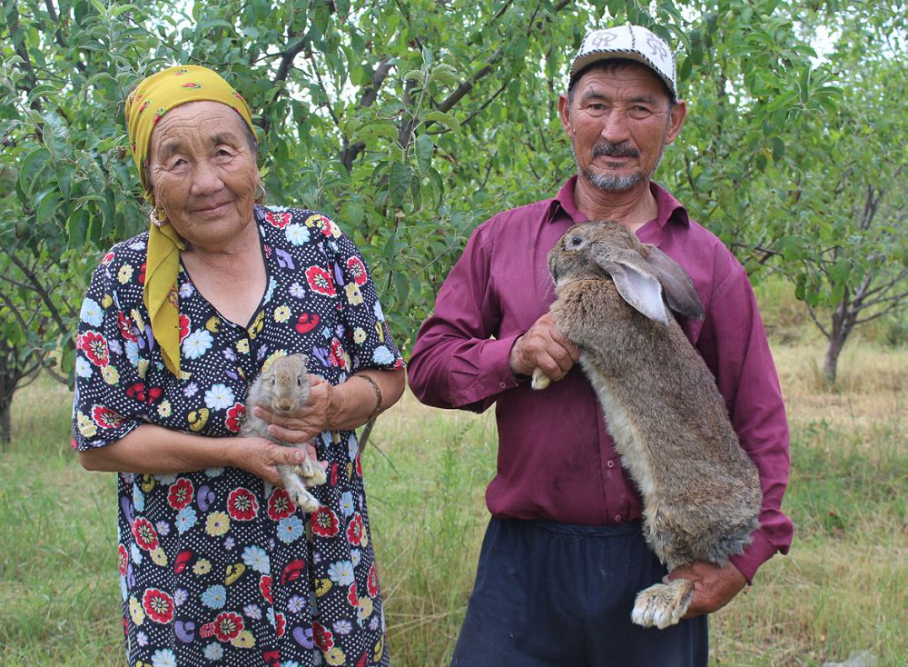 قويان باققان قاريا