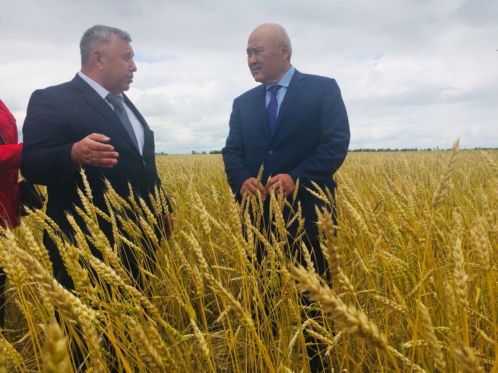 اۋىل شارۋاشىلىعى ءمينيسترى ومىرزاق شوكەەۆ قوستاناي وبلىسى شارۋاشىلىقتارىن ارالادى