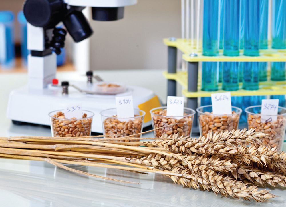 بيزنەس پەن عىلىم تىزە قوسۋعا ءتيىس