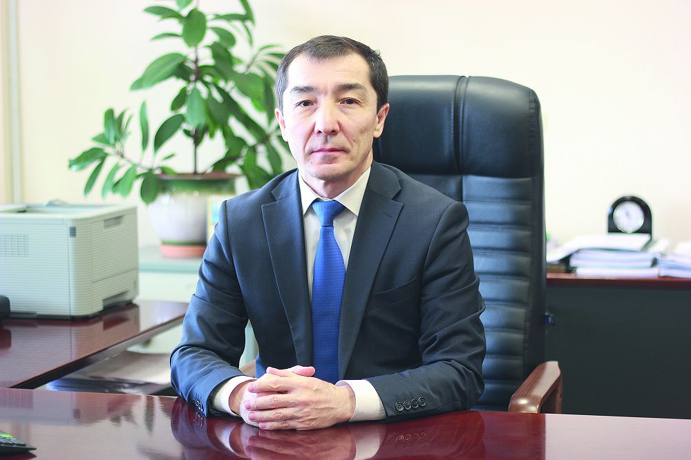 تسيفرلى قارجى: تەز, ارزان, ءتيىمدى