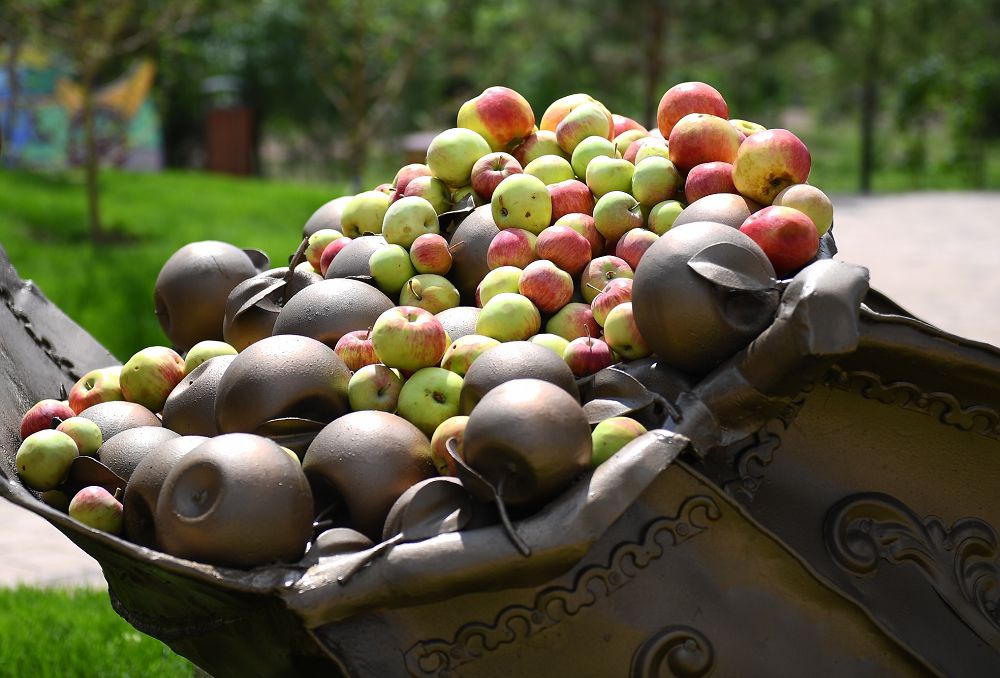 استانانىڭ اپورتى