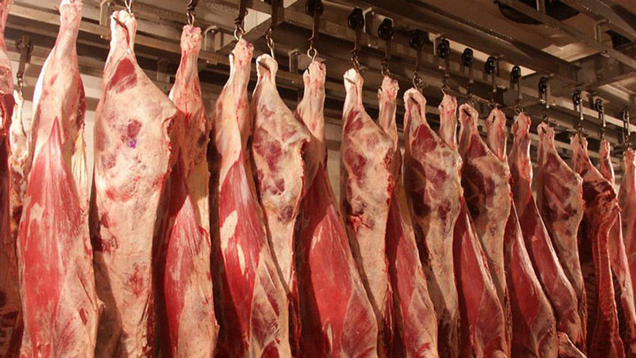 جامبىلدا ەت ەكسپورتى مىڭ تونناعا ارتادى