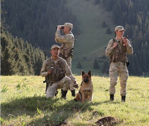 شەكاراداعى قۇقىق بۇزۋشىلىق ازايىپ كەلەدى