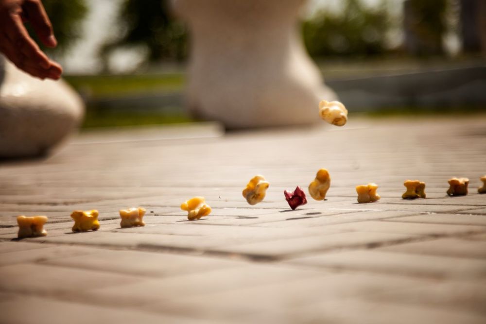 ەلوردادا « ۇلى دالا رۋحى» رەسپۋبليكالىق فەستيۆالىنىڭ سولتۇستىك ايماقتىق ىرىكتەۋ جارىستارى ءوتىپ جاتىر