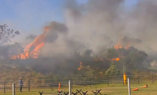 اۆستراليادا ورمان ورتەندى