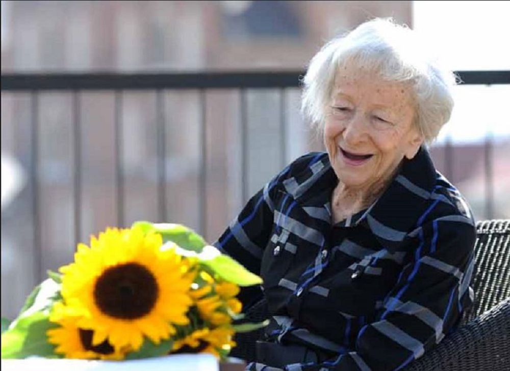 شىندىق جۇتقان تاعدىر