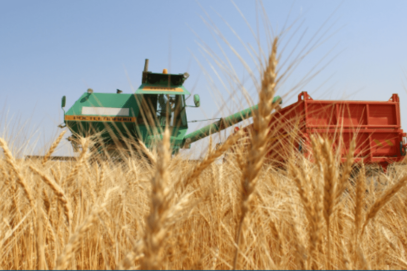 اقمولالىق ديقاندار استىق ءۇشىن ارپالىسىپ جاتىر