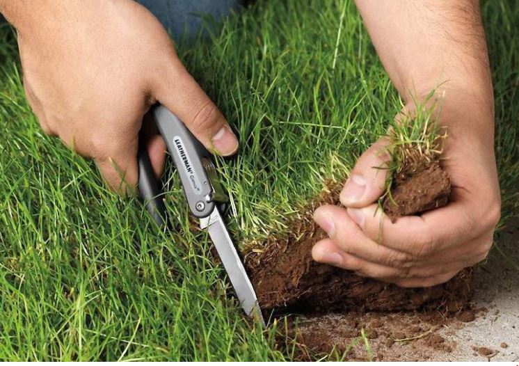 الماتىدا جەر ۋچاسكەسىنە قاتىستى زاڭسىز ارەكەتتەر انىقتالدى