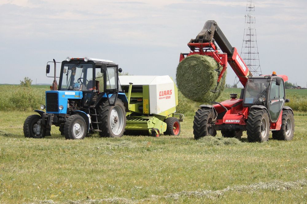 مالى توقتىڭ – ەلى توق
