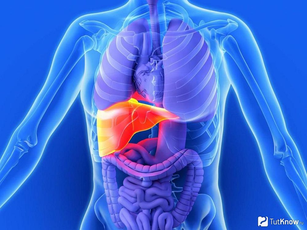 باۋىردىڭ سوزىلمالى اۋرۋلارىن زەرتتەدى