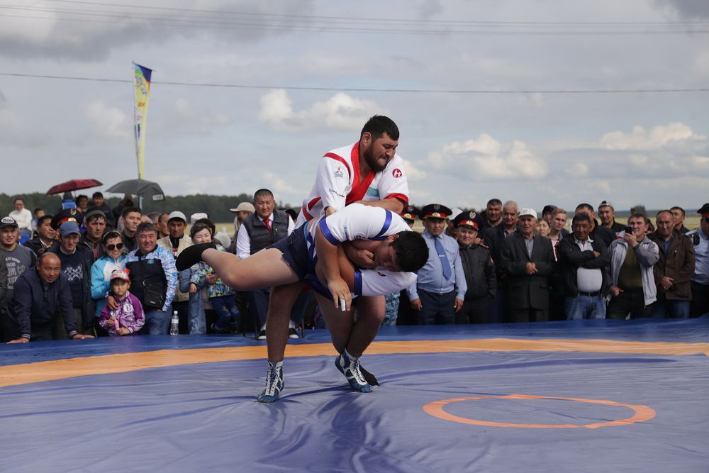 ايىرتاۋ – اسىل ايماق ارقاداعى
