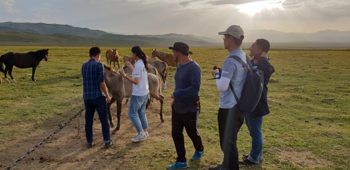  Lives’talk مال شارۋاشىلىعىنداعى قازاقستاندىقتارعا جوعالعان ءتورت ت ۇلىگىن وڭاي تابۋعا كومەكتەسپەك