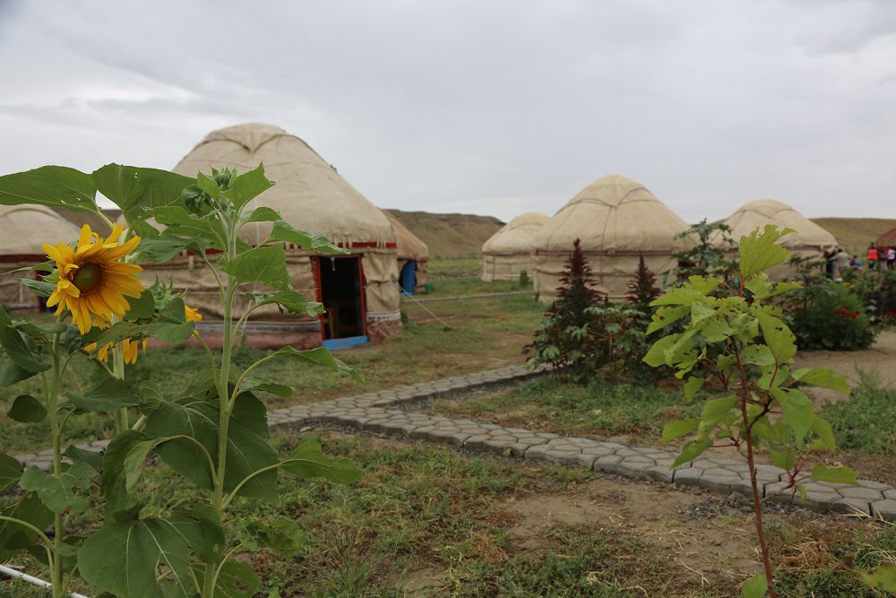 بىتكەن ءىس تە بار, اتقارىلار شارۋا دا از ەمەس