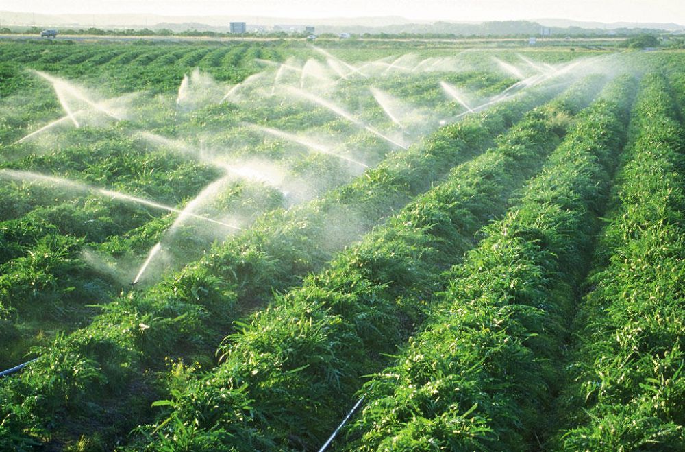 سۋارمالى جەرلەردى ءتيىمدى پايدالانباي, جاعداي جاقسارمايدى