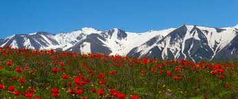 جاباعىلىنىڭ دەمالۋشىلارى جابىرقاۋ