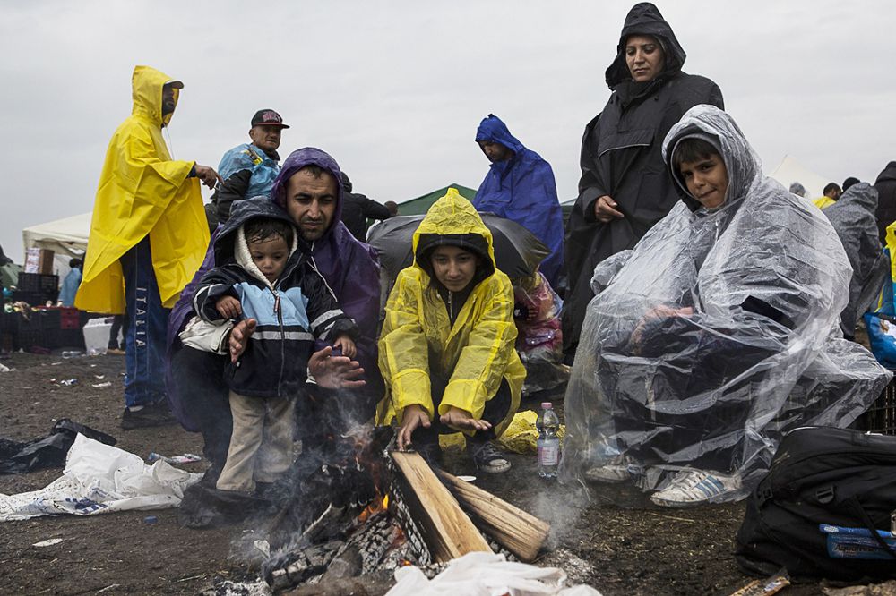 بوسقىندار ءىسى – الەمدىك پروبلەما