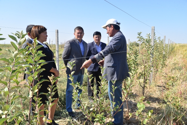 وتىراردا شاعىن بيزنەس دامىپ كەلەدى