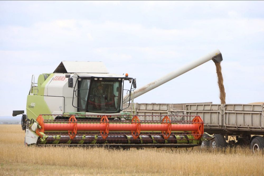 ديقاندار دامىل تاپپايتىن ماۋسىم