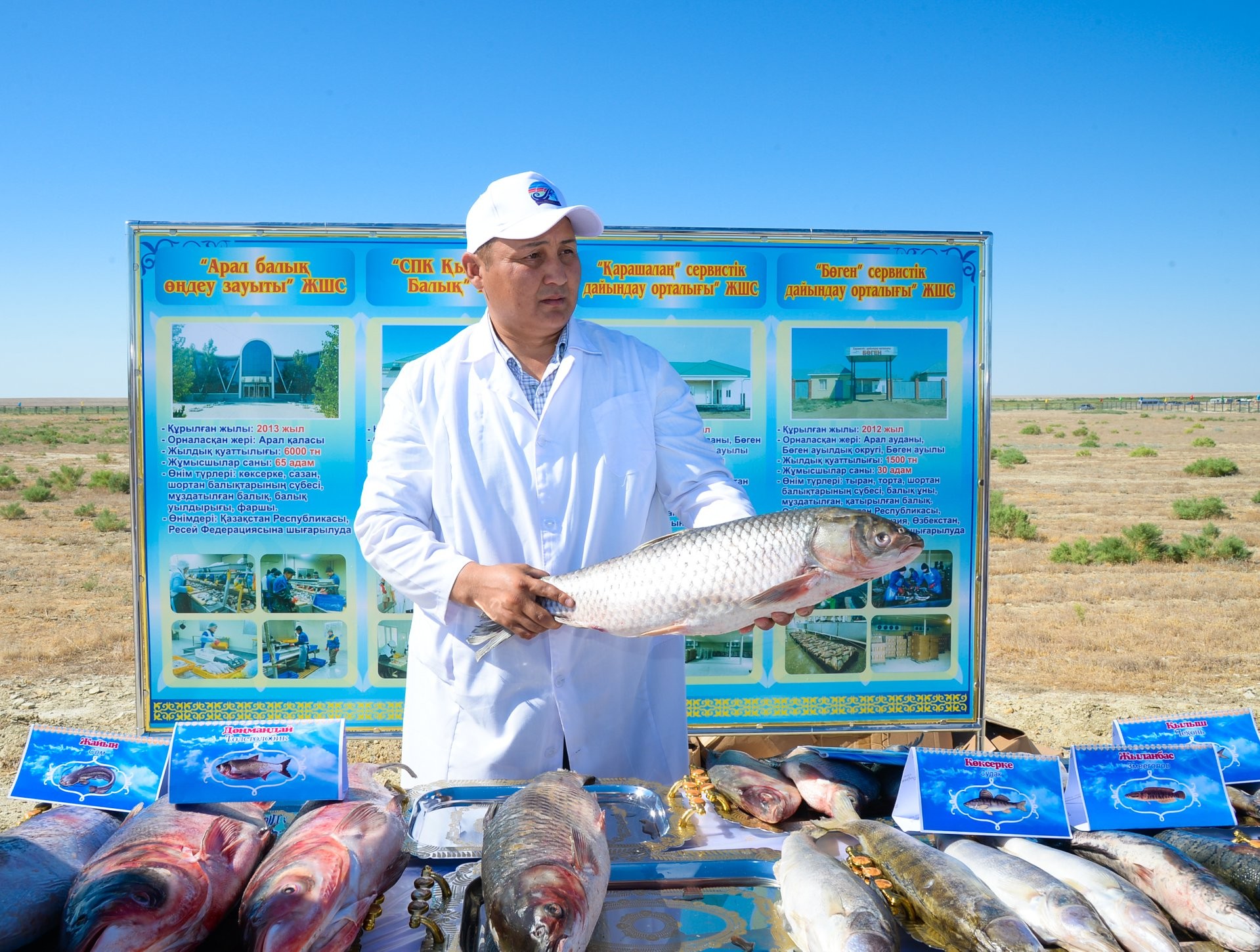 قىزىلوردادا بالىق اۋلاۋ كولەمى كوبەيدى