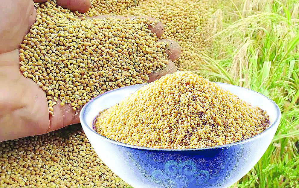 ويىل قايدا بۇرىنعى؟!