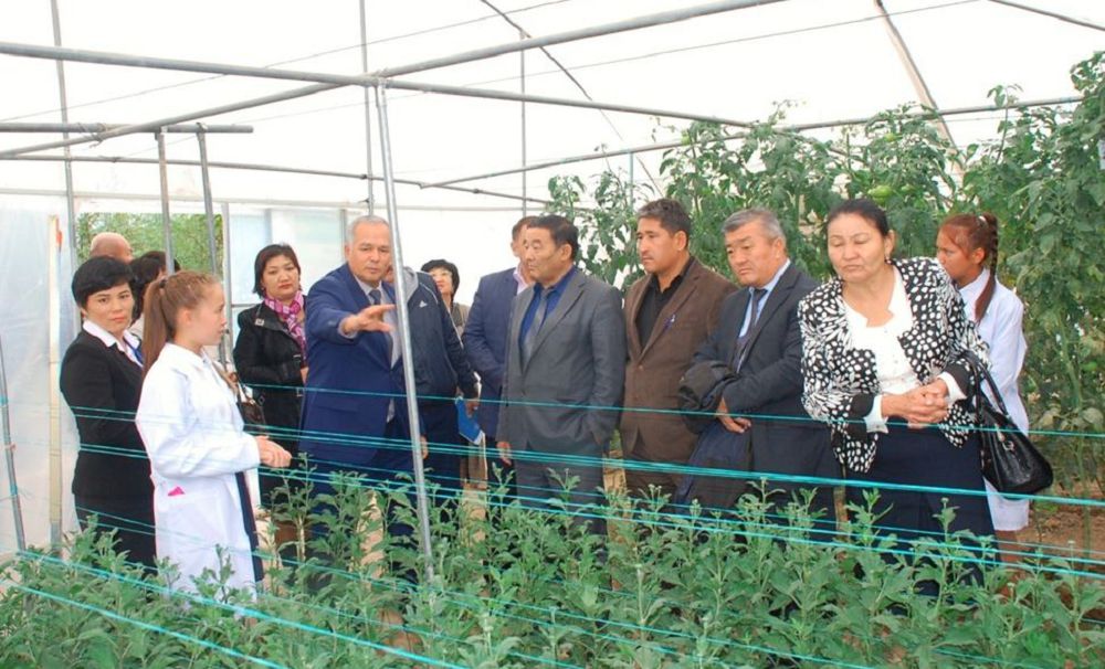 اباتتاندىرۋعا اتسالىسىپ ءجۇر