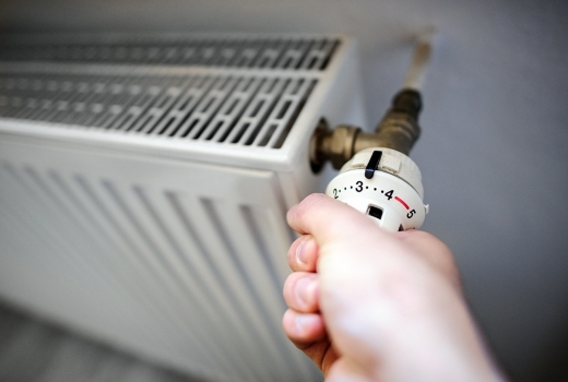 جىلۋ ماۋسىمىنا دايىندىق بارىسىن باياندادى