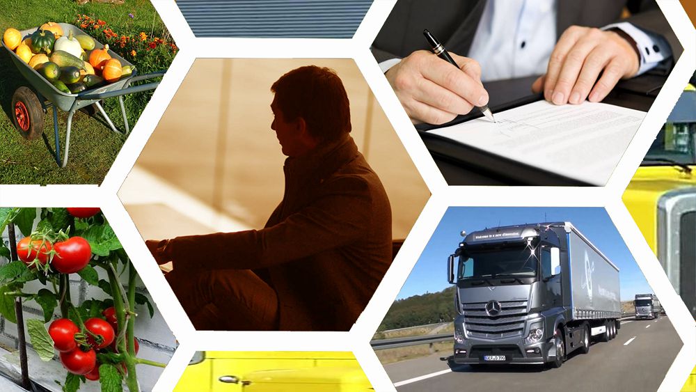 كاسىپكەرلىككە كەدەرگى جاساۋ – كەسىردىڭ ءىسى