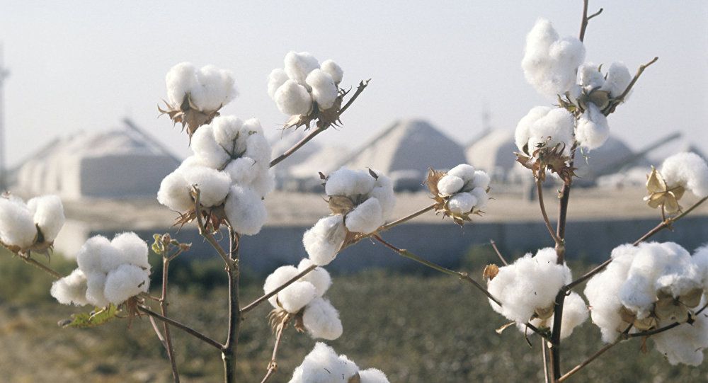 ماقتا كوبەلەگىنە ءمان بەرىلسە...