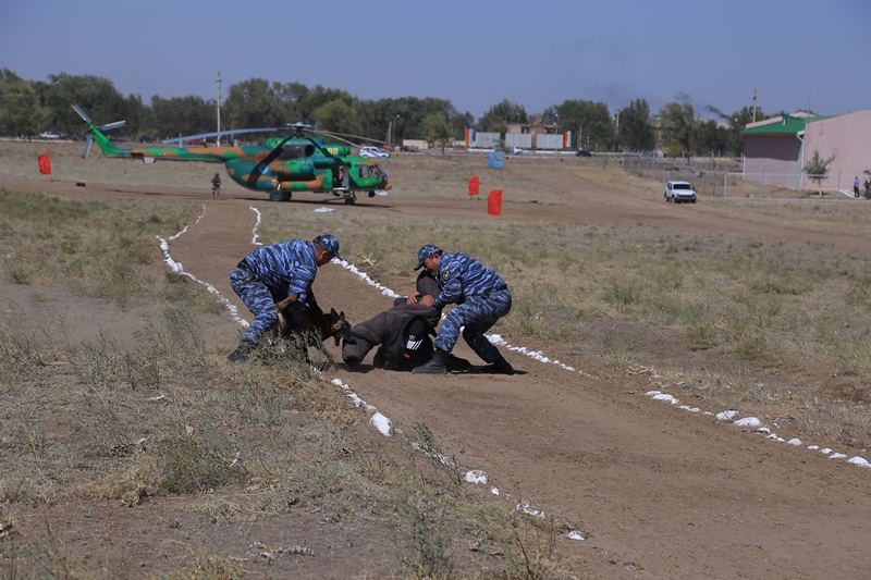 توعىز توننا ەسىرتكى تاركىلەندى