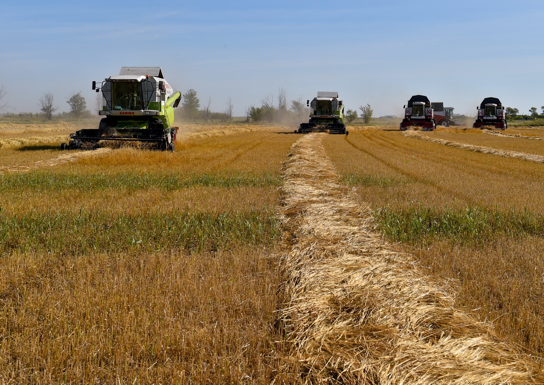 گەكتارىنا – 62,5 تسەنتنەر!