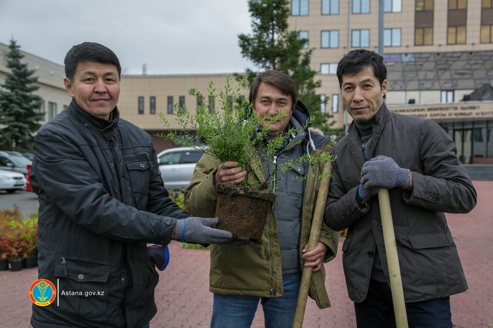 جالپىقالالىق سەنبىلىكتە 9 مىڭنان استام اعاش ەگىلدى