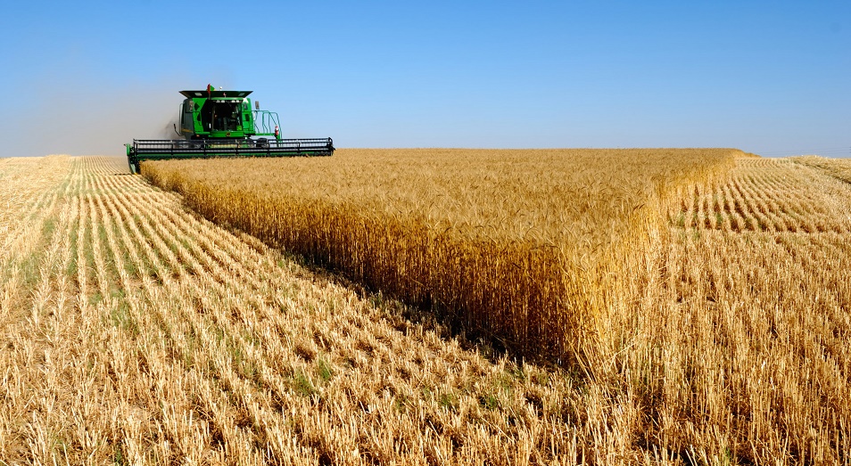 توعىشارلىق مەڭدەگەن اۋىل