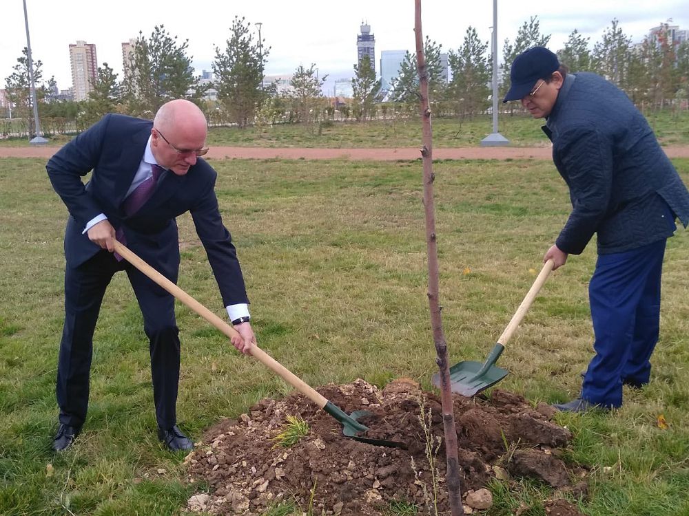 ماشينا جاساۋشىلار اللەياسى اشىلدى