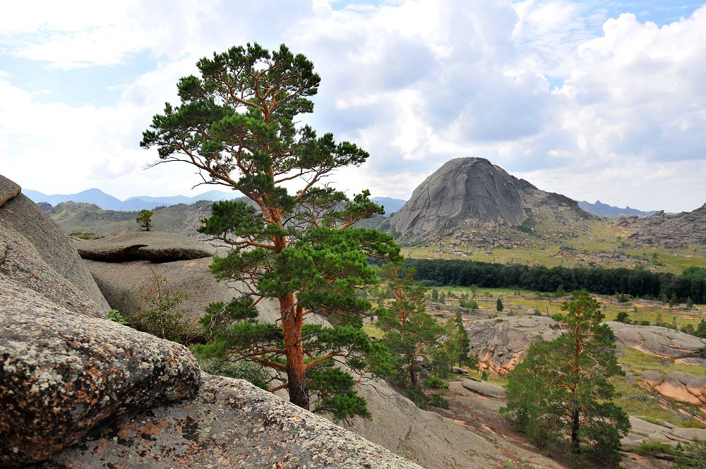 تۋعان جەرىن سۇيە الماعان, سۇيە الار ما تۋعان ەلىن؟