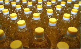 بيىل قوستانايدا ەكسپورت كولەمى 20 پروتسەنتكە ارتقان