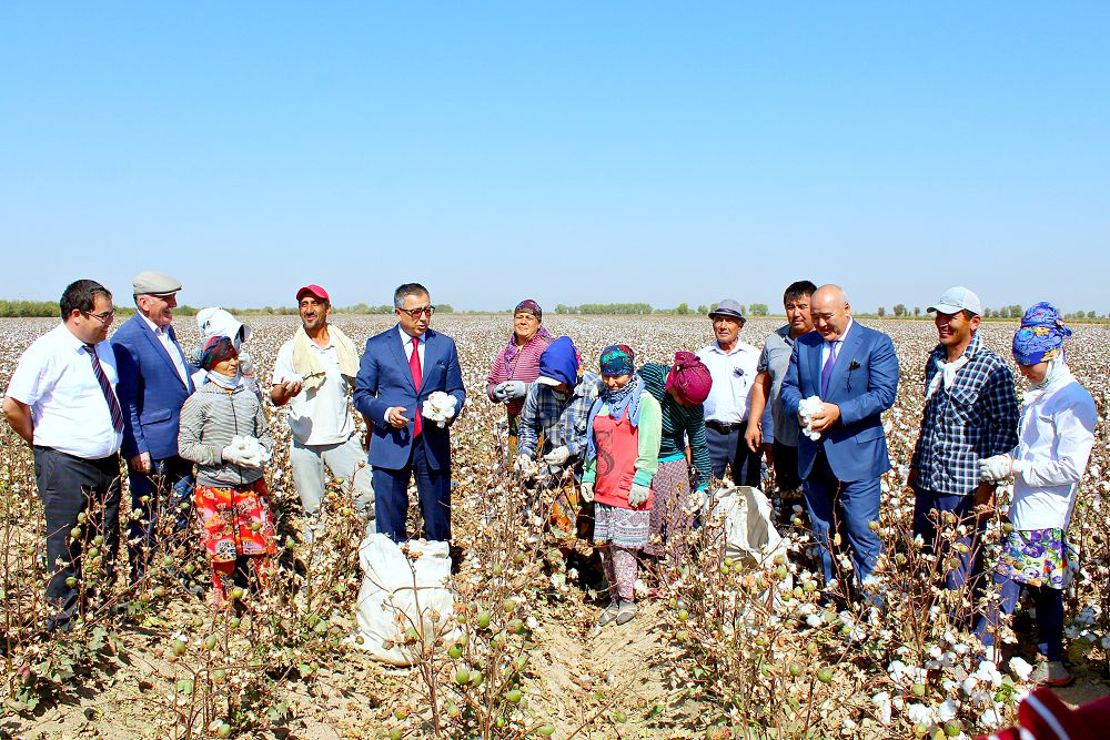 ماقتا باعاسى بويىنشا باسەكەلەستىك جوق