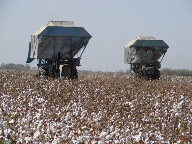 ماقتانىڭ باعاسى 180 تەڭگە بولىپ بەكىتىلدى