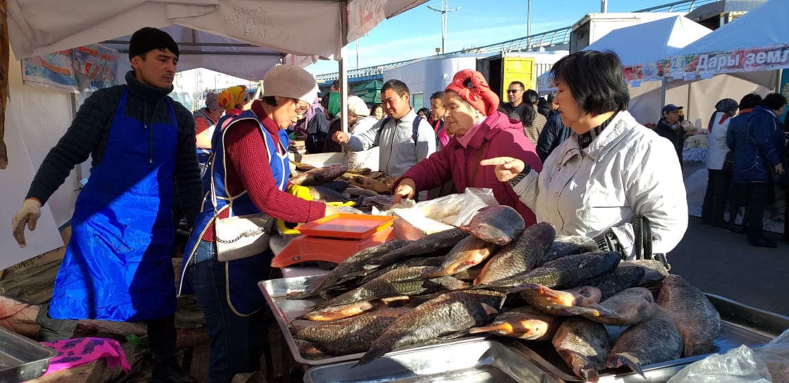 ەلوردادا قىزىلوردا وبلىسىنىڭ اۋىلشارۋاشىلىق ونىمدەرىنىڭ جارمەڭكەسى ءوتىپ جاتىر