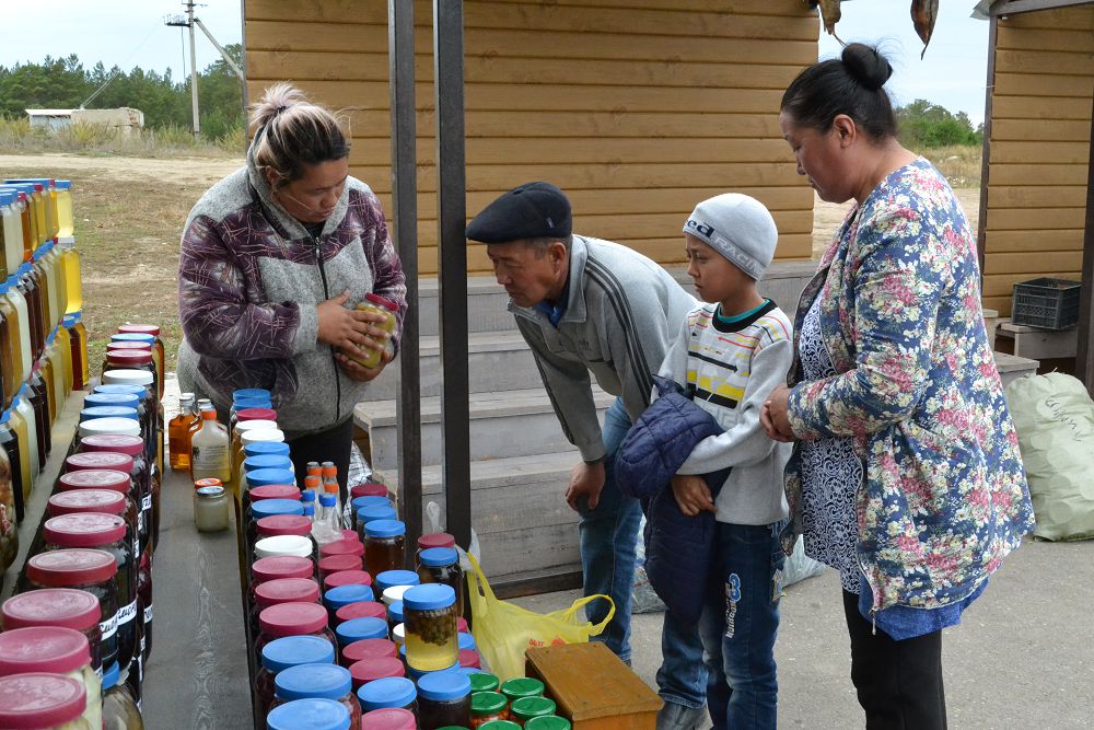 سارىالا كۇزدىڭ سىباعاسى