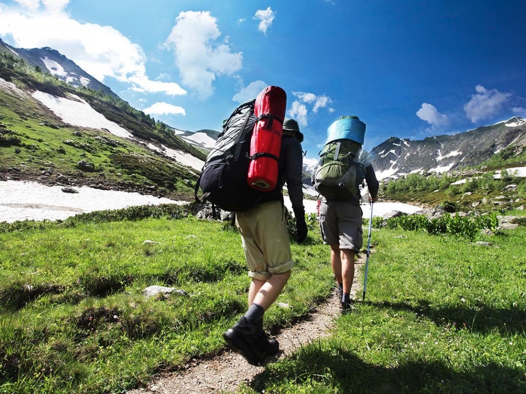 ۇسىنىستار جيناقتالىپ, ءىس-شارالار جوسپارى بەكىتىلەدى