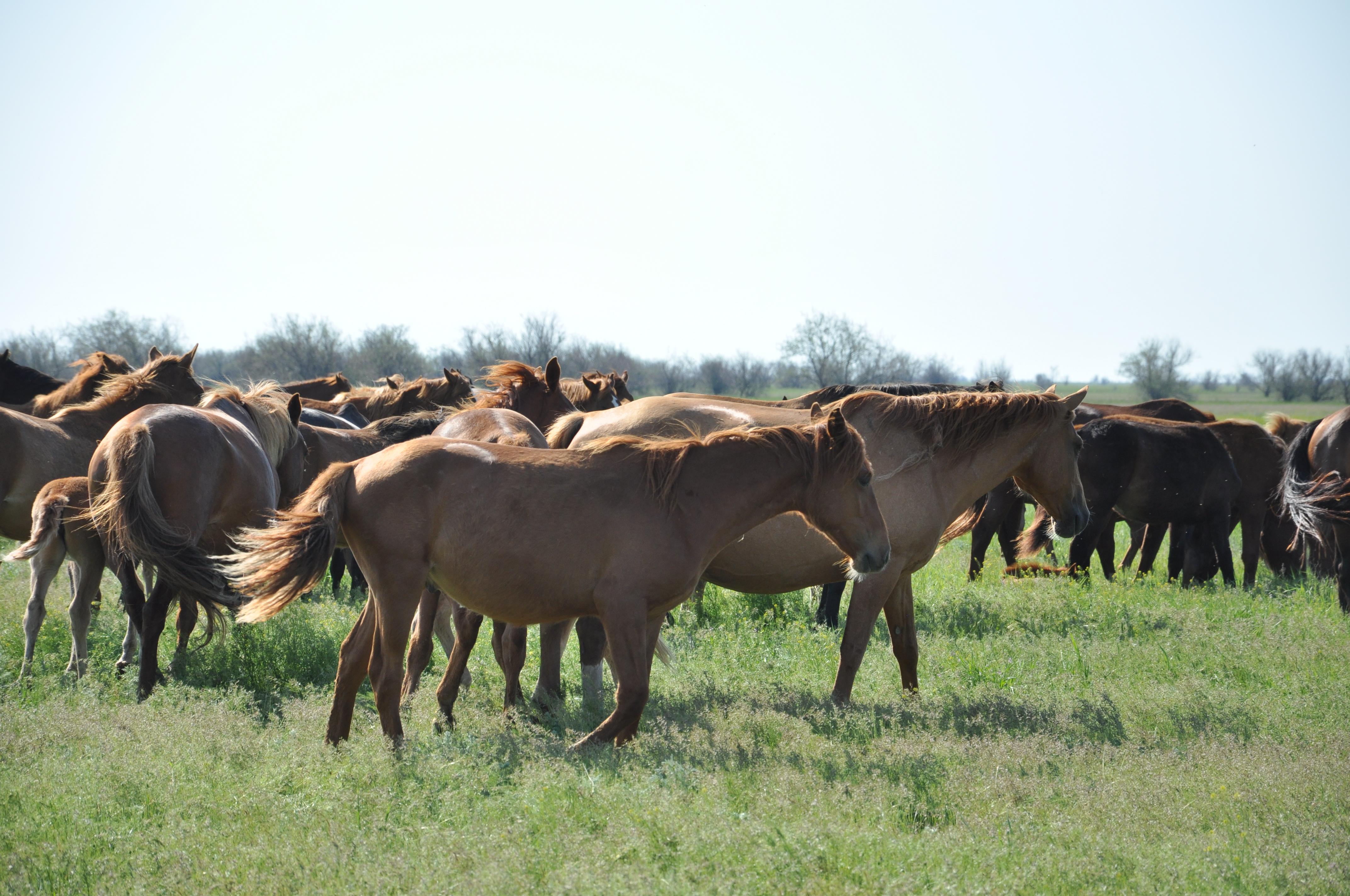 اۋىلدا ءوسىپ, بيزنەسىمىزدى وركەندەتتىك - ەربولات قۇرمانعاليەۆ