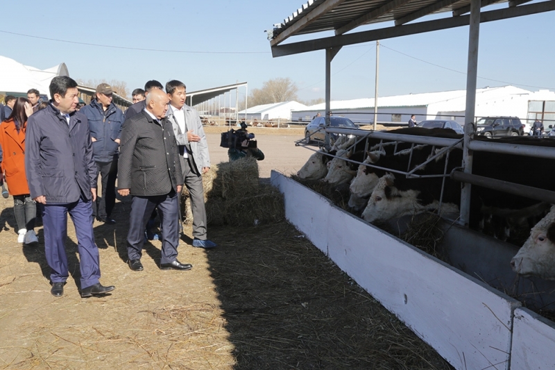 ۆيتسە-پرەمەر ومىرزاق شوكەەۆ قاراعاندى وبلىسىندا جۇمىس ساپارىمەن بولدى