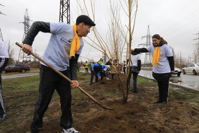 پاۆلودار وبلىسىندا وتىرعىزىلعان اعاشتاردىڭ 70 پايىزى وسپەي قالعان  