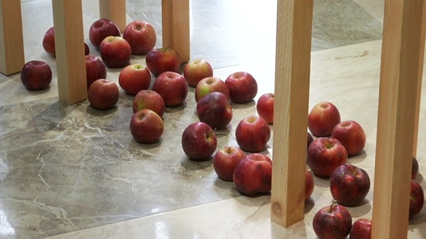 الماتىدا الما مۋزەيى اشىلدى