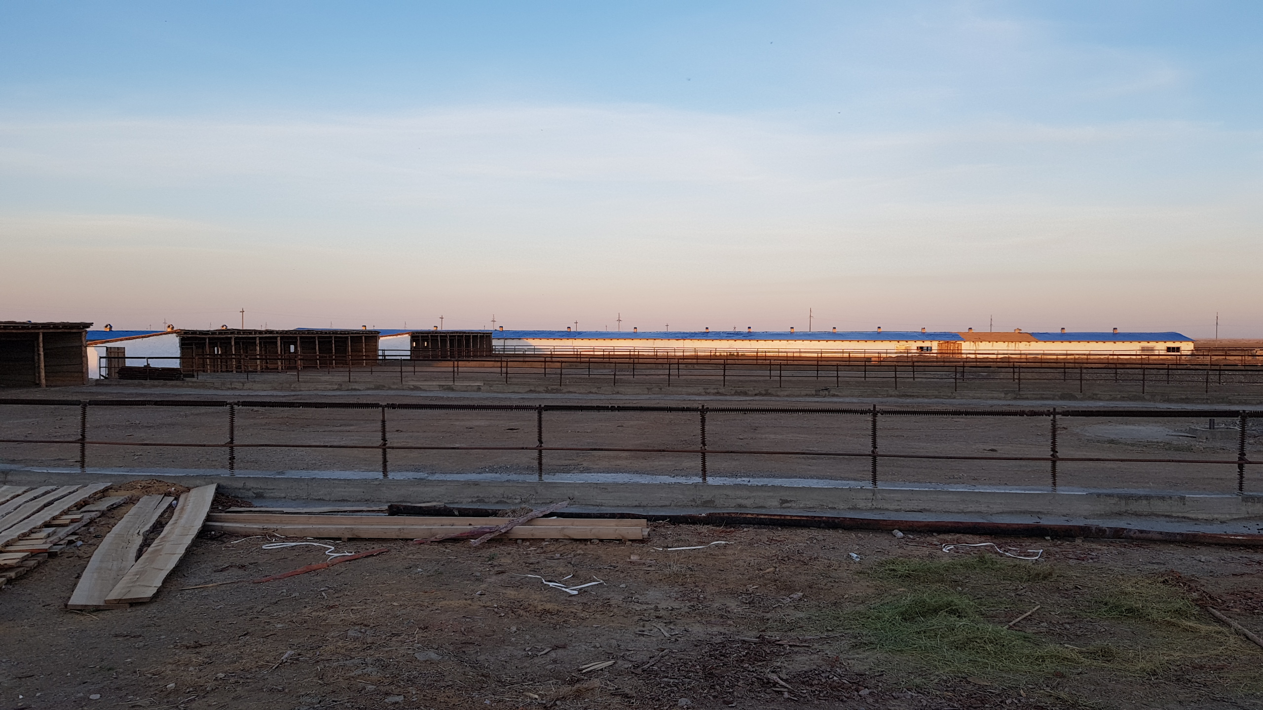 تارباعاتايدا 4 مىڭ باسقا ارنالعان بورداقىلاۋ الاڭى اشىلادى