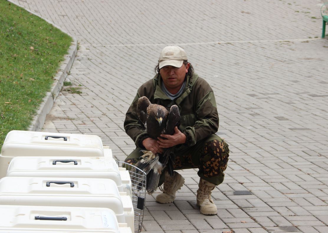 بۇركىتتىڭ بالاپاندارى ەركىندىككە جىبەرىلدى