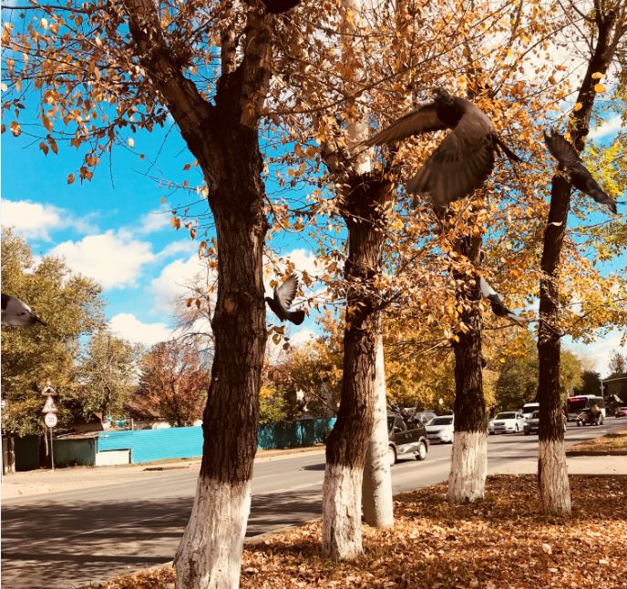 23-25 قازان: جىلى جانە جاۋىن-شاشىنسىز