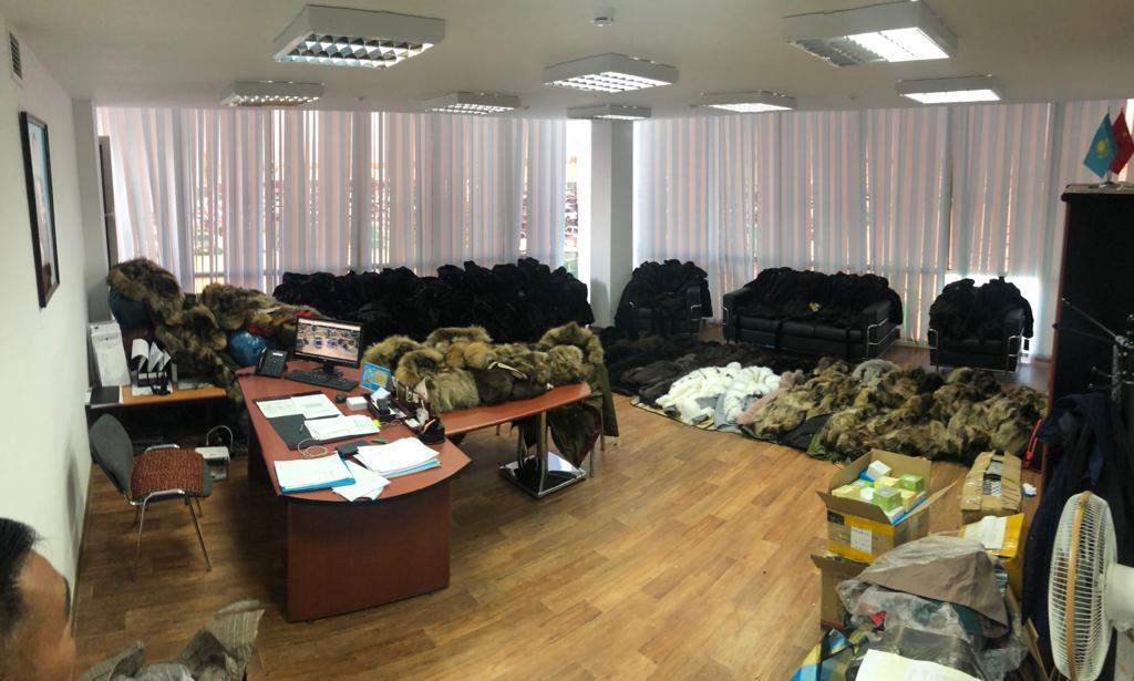 «قورعاستان» قۇندىز كيىمدەردى جاسىرىپ الىپ وتپەكشى بولدى